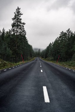 İsveç 'in Dalarna kentindeki yoğun bir ormanda sisli ve ıslak bir yol esiyor. Kırmızı kar direği işaretleri yol kenarını çiziyor, bu sakin kuzey manzarasının kenarını gösteriyor.