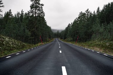 İsveç 'in Dalarna kentindeki yoğun bir ormanda sisli ve ıslak bir yol esiyor. Kırmızı kar direği işaretleri yol kenarını çiziyor, bu sakin kuzey manzarasının kenarını gösteriyor.