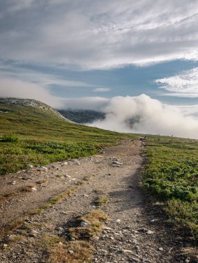 Mulen Dağı zirvesi sakin bir yaz sabahı bulutlarla kaplanarak Idre, Dalarna, İsveç 'te doğa uyanıkken sakin bir atmosfer yaratır..