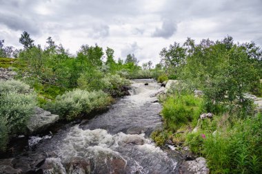 Fulufjallet Ulusal Parkı 'ndaki yemyeşil yemyeşil sularda akan sakin bir nehir, bulutlu bir günde İsveç' in Dalarna kentinin doğal güzelliğini gözler önüne seriyor..