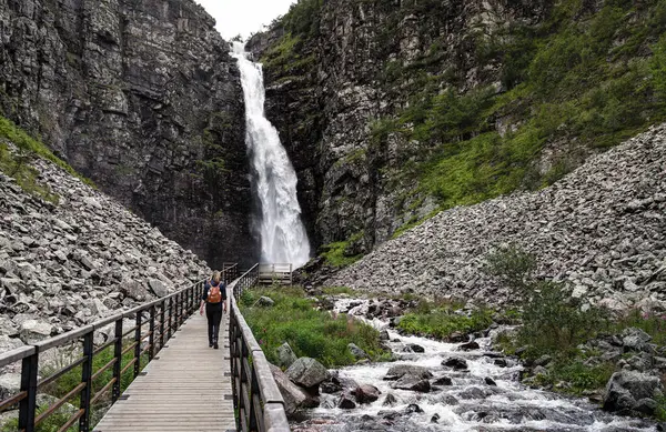 Dalarna İsveç 'teki kayalık uçurumlar ve yemyeşil yeşilliklerle çevrili Fulufjallet Ulusal Parkı' ndaki Njupeskar Şelalesi 'ne yaklaşan kadın yürüyüşçü derin bir vadide tahta kaldırım boyunca yürüyor.