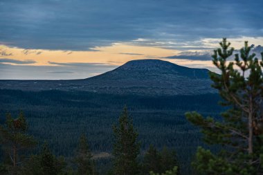 Ziyaretçiler, Idre, Dalarna, İsveç 'teki Boreal ormanlarına bakan Stadjan dağının tepesindeki yemyeşil ve akşam renklerinin ortasındaki nefes kesici yaz akşamı manzarasına hayran kaldılar..