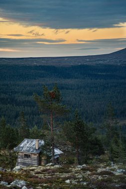 Idre Dalarna İsveç 'teki yoğun boreal ormanın üzerine alacakaranlıkta turuncu ve mavi renkler dökülen kayaların ve bir çam ağacının arkasına saklanmış terk edilmiş bir ahşap kulübe.
