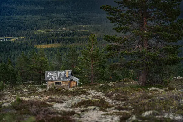Yıpranmış bir ahşap kulübe, İsveç 'in Idre Dalarna kentindeki bir yaz akşamında, bir çam ormanına ve dingin göletlere bakan mor fundalarla çevrili bir dağ yamacında dinlenir.