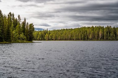 Valadalen doğa koruma alanındaki verimli çam ormanlarının arasına yuva yapmış sakin bir göl bulutlu bir yaz gününde, İsveç 'in Jamtland Lan kentinde sakin bir kaçış..