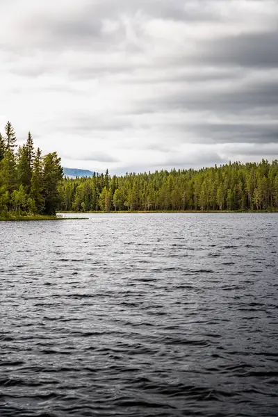 İsveç 'in Jamtland kentindeki Valadalen Doğa Rezervi' nde sakin bir göl, altın saat boyunca bulutlu bir yaz gökyüzünün altında kıyı boyunca zengin, yoğun bir çam ormanı barındırır..