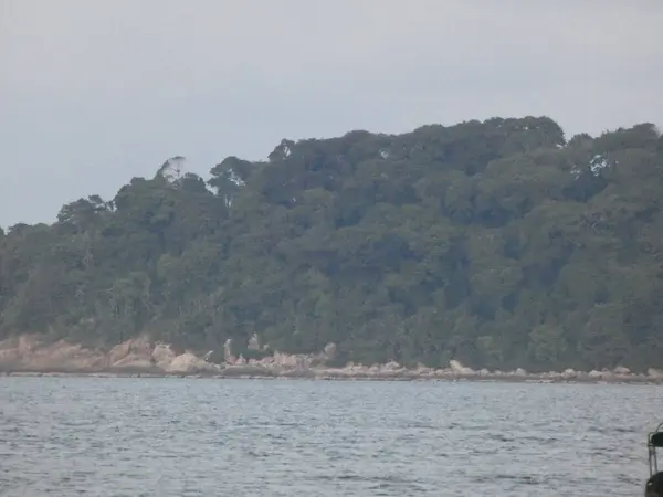 The mix of natural elements and artificial lighting creates a mystical and vibrant atmosphere  perfect for themes of nature, night photography, and artistic outdoor decoration.