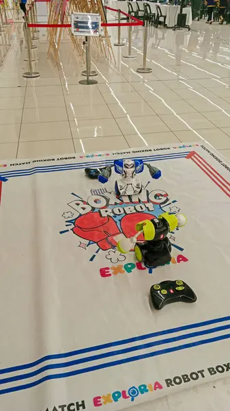 İki küçük renkli robot, üzerinde 