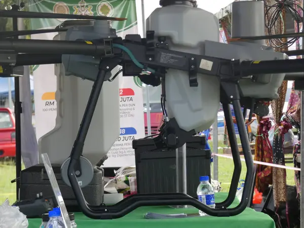 Bu ince bir dala ya da palmiye dalına sarkıtılmış karmaşık bir şekilde inşa edilmiş bir kuş yuvasının fotoğrafı..