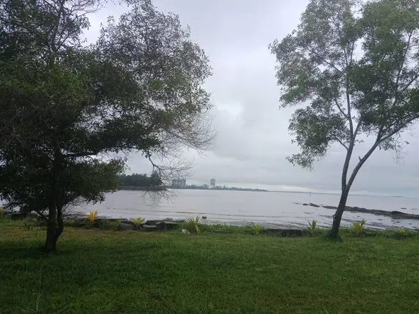 Bu, geleneksel Malezya atıştırmalıklarıyla dolu küçük beyaz bir kasenin fotoğrafı. Kuih-muih olarak bilinir..