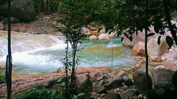 Bu, yemyeşil, tropik bir ormanın içinden akan bir nehrin manzaralı bir fotoğrafı..