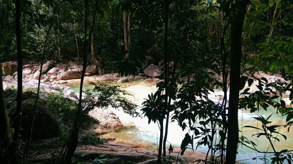 Bu, yemyeşil, tropik bir ormanın içinden akan bir nehrin manzaralı bir fotoğrafı..
