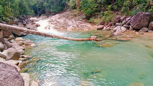 Bu, yemyeşil, tropik bir ormanın içinden akan bir nehrin manzaralı bir fotoğrafı..