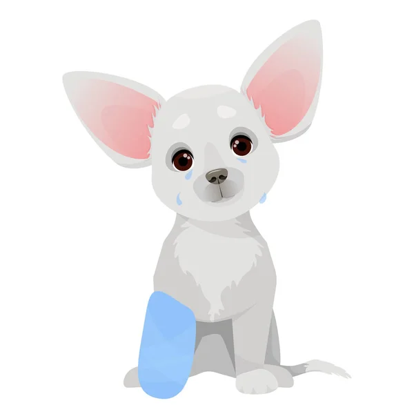 Small Gray Dog Sitting Bandaged Paw — Wektor stockowy