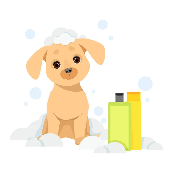 这只狗坐在肥皂泡里 旁边是一罐洗发水 — 图库矢量图片