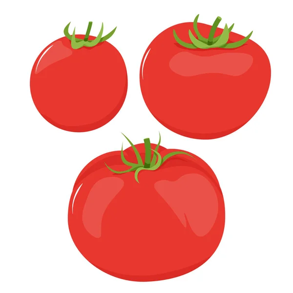 一套三只不同的红西红柿 — 图库矢量图片