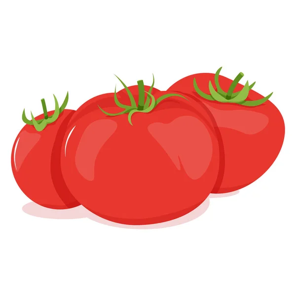 作文中的一组红色西红柿 — 图库矢量图片
