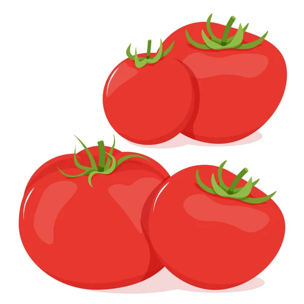 一组红番茄成对采摘 — 图库矢量图片