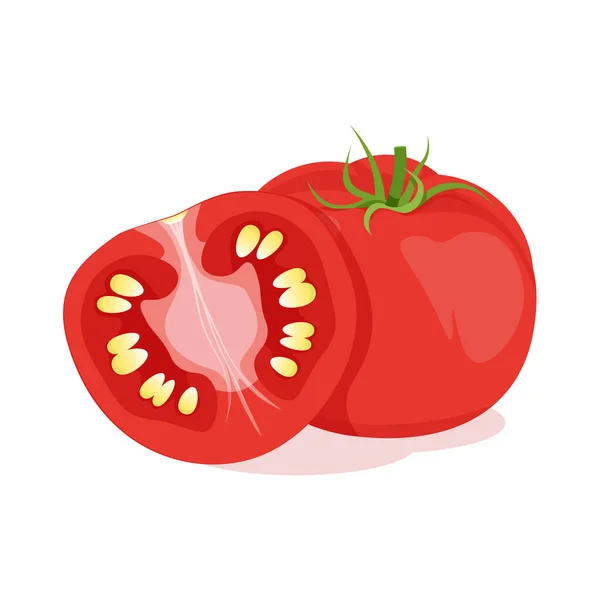 一个红红的西红柿 一个切成两半 — 图库矢量图片
