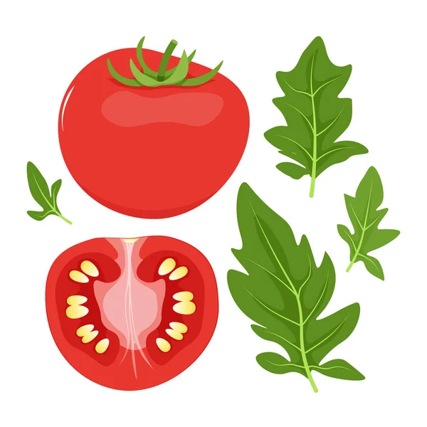 一套红番茄和绿叶 — 图库矢量图片