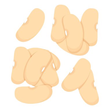 Farklı kümelerdeki beyaz fasulyeler.