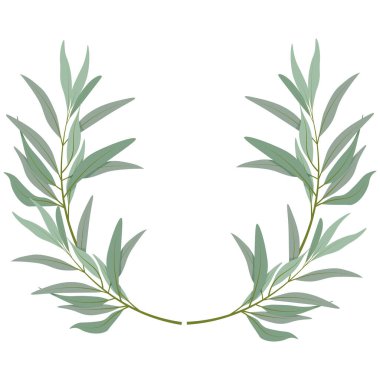 Yuvarlak zeytin dallarının bileşimi