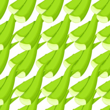 Beyaz arkaplanda yeşil Aloe vera yapraklarının pürüzsüz deseni