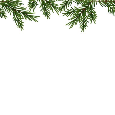 Yeşil köknar dallarının kusursuz sınırı