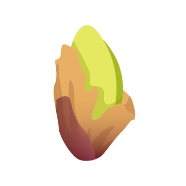 Kabuksuz şam fıstığı beyaz arkaplanda izole