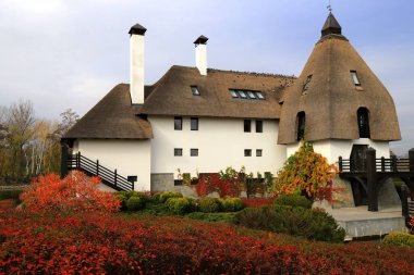 Kırsal alan. Sonbaharda çatıya tırmandım. Kırsal tarzda bir kır evi, yapraklar dökülüyor. Kırsal kesimde turizm ve eğlence. Dnipro, Ukrayna