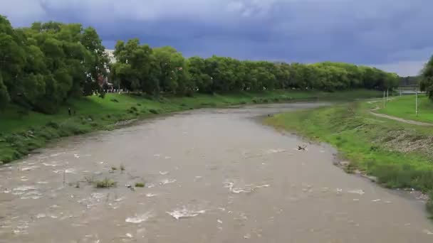 Stormy Mountain River Flows Carpathians Green Banks Uzhhorod Ukraine — стокове відео