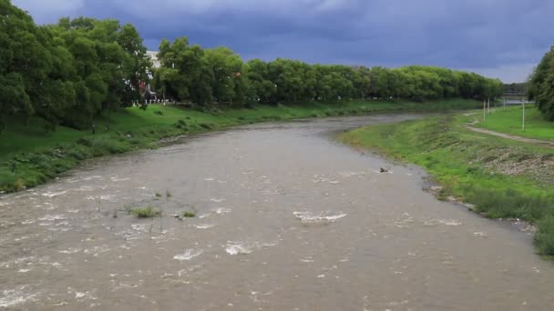Stormy Mountain River Flows Carpathians Green Banks Uzhhorod Ukraine — Vídeo de Stock