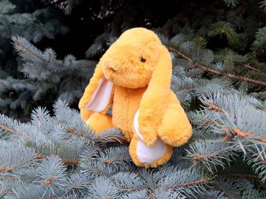 Yellow rabbit, symbol of 2023, sits on tree branch in forest.