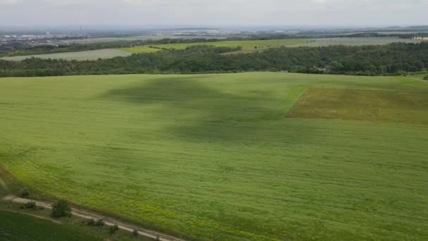 Terreno Venta Inversión Vista Aérea Incluir Campo Verde Granja Agrícola — Vídeos de Stock