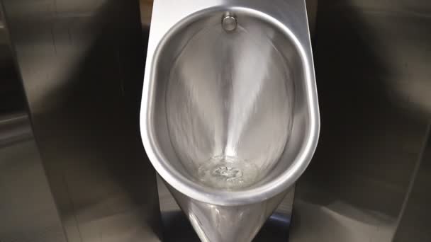Sanitary Metal Urinal Toilet Bowl Public Bathroom Hygienic Automatic Water — Stock Video