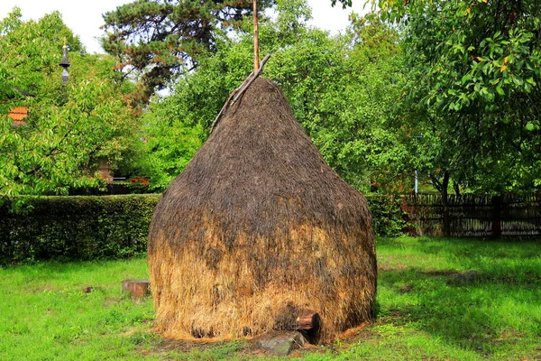 Tarım çiftliğinde saman yığını, hasat zamanı, kurumuş çim samanı, ahşap çatının altındaki saman dağı.