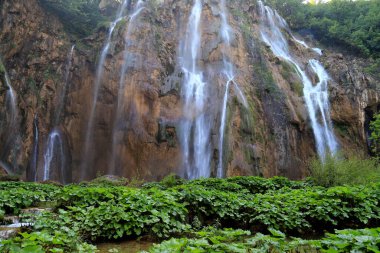 Plitvice Lakes Parkı, Hırvatistan, bahar veya yaz aylarında şelale suları. Hırvat dağları ve doğası. UNESCO Dünya Mirası. Kıtlık suyu, kaynaklar
