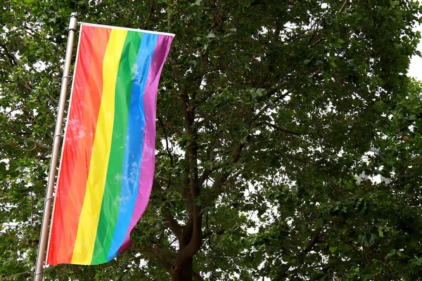 Bandera Realista Organización Lgbt Incluye Las Personas Lesbianas Gays Bisexuales — Foto de Stock