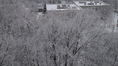 Şiddetli bir kar fırtınası, şehirdeki ağaçları ve binaları silip süpüren bir kar fırtınası, hava manzarası. Karlı kış manzarası, kışın kar yağışı..