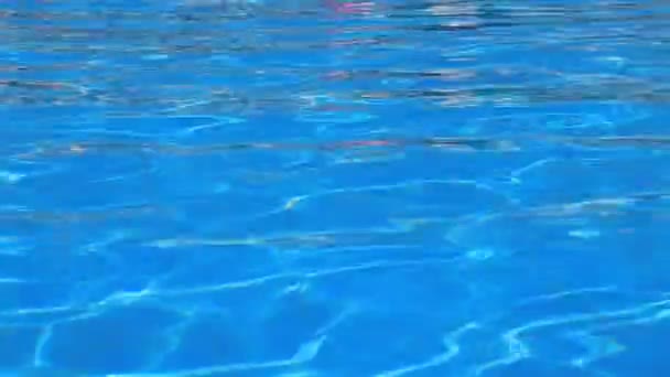 プール内のきれいな新鮮な青い水の波 休暇や夏休みのための水の背景 天然資源 — ストック動画