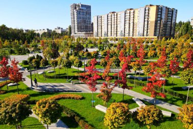 Sarı portakal ağaçları ve kırmızı yaprakları olan güzel bir sonbahar parkı, binalar, evler, apartmanlar, lüks gayrimenkuller. Dnipro, Ukrayna 'da sonbahar sokakları