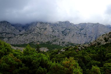 Hırvatistan 'ın dağlarında sis, Dinaric Alpleri. Hırvatistan 'ın Makarska Riviera kenti yakınlarındaki güzel sisli, bulutlu Hırvat dağ manzarası, kayalar ve çam ormanı, Biokovo Park