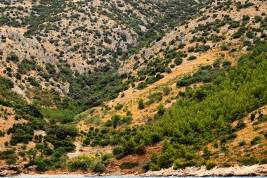 Dağ yamaçlarında sarı çimenler, yeşil çalılar ve ağaçlar var. Dağ arkaplanı, manzara. Alpler, Hırvatistan