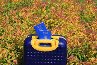 Ukrayna 'da yazılı 2 pasaport - Ukrayna pasaportu Ukrayna bayrağı renginde sarı mavi bavulda yatıyor