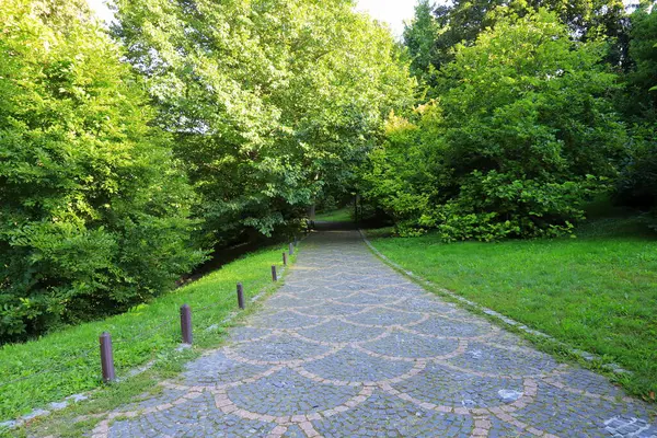 Park yaz geçmişi. Uman, Ukrayna 'daki bir peyzaj parkında taş kaldırım, resimli yaprak döken ağaçlar