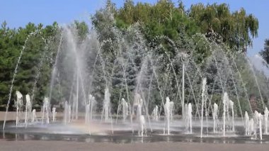 Yaz parkında güzel bir dans çeşmesi. İnsanlar yaz sokak doğasında yürürler ve dinlenirler. Dnipro şehri, Ukrayna