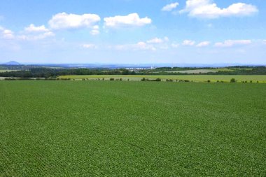 Land for sale and investment in aerial view. Include green field, agriculture farm. That real estate or property. Plot of land lot