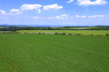 Land for sale and investment in aerial view. Include green field, agriculture farm. That real estate or property. Plot of land lot