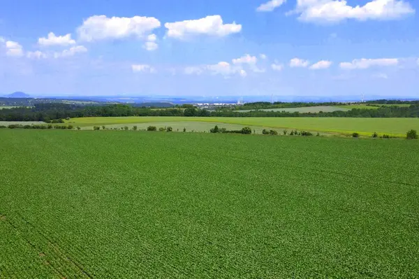 Land for sale and investment in aerial view. Include green field, agriculture farm. That real estate or property. Plot of land lot