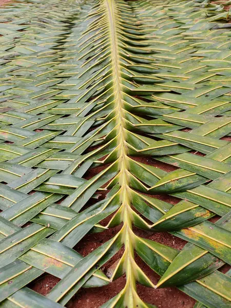 A close-up shot of a handwoven mat made from coconut leaves. The leaves are arranged in a criss-cross pattern, creating a intricate and visually appealing texture.